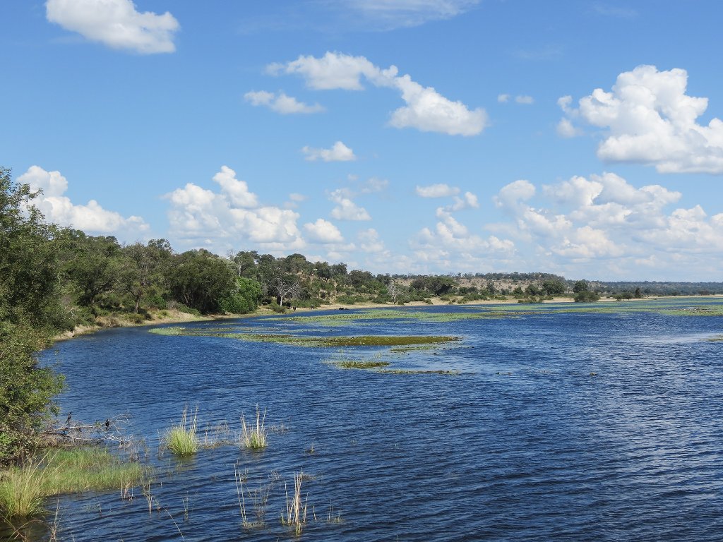 01-The swollen Chobe River.jpg - The swollen Chobe River